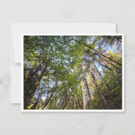 Entlang des Weges Postkarte