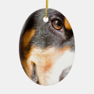 Entlebucher - ich habe meine Augen auf Ihnen! Keramik Ornament