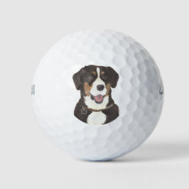 Entlebucher Mountain Hund Golfball