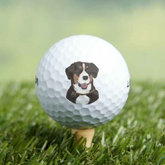 Entlebucher Mountain Hund Golfball (Insitu T-Shirt)