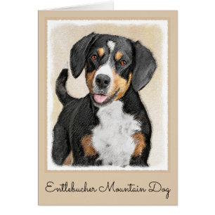 Entlebucher Mountain Hunde Malerei - Originelle Ku