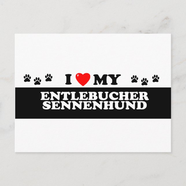 ENTLEBUCHER SENNEHUND_ POSTKARTE (Vorderseite)