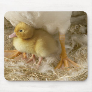 Entlein zwischen den Beinen der Mutter Mousepad