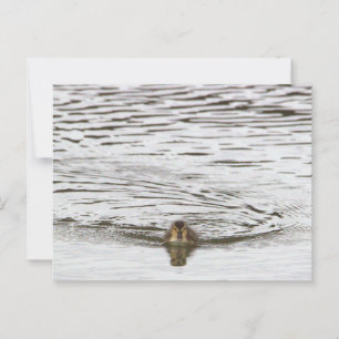 Entnahme-Foto Postkarte