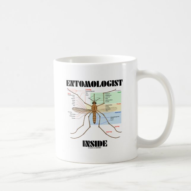 Entomologe-Innere (Moskito-Anatomie) Kaffeetasse (Rechts)