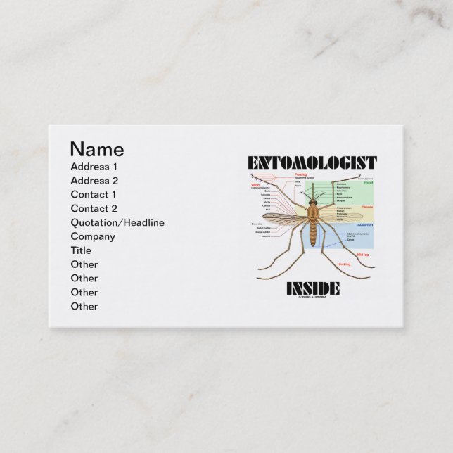 Entomologe-Innere (Moskito-Anatomie) Visitenkarte (Vorderseite)