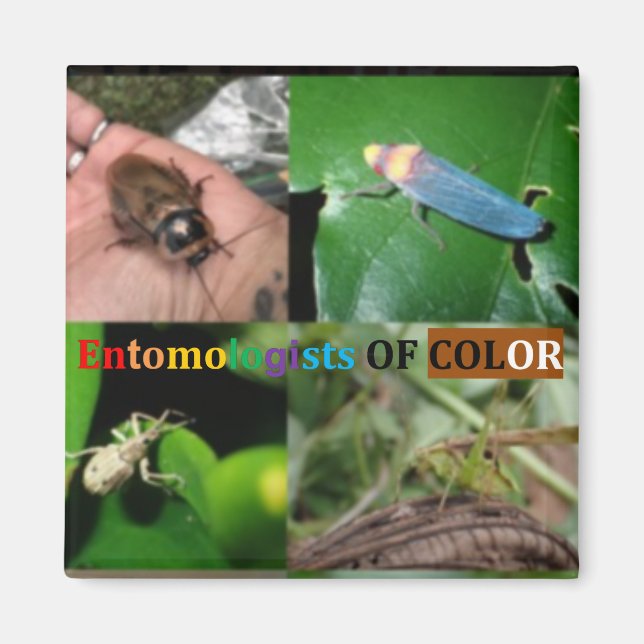 Entomologen von Farbmagneten Magnet (Vorne)