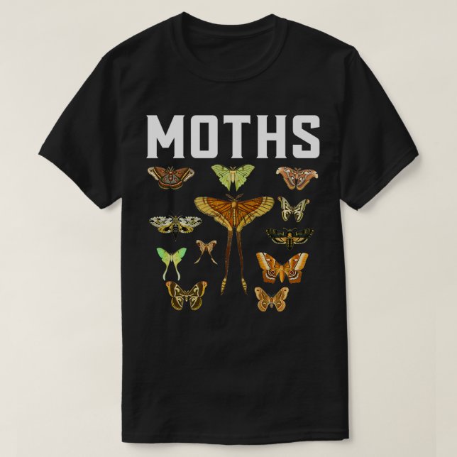 Entomologie Entomologe Bug Bugs Insekten Insekten T-Shirt (Design vorne)