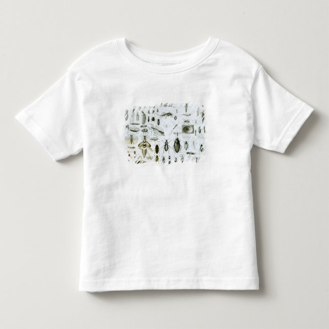 Entomologie-Insekten Kleinkind T-shirt (Vorderseite)