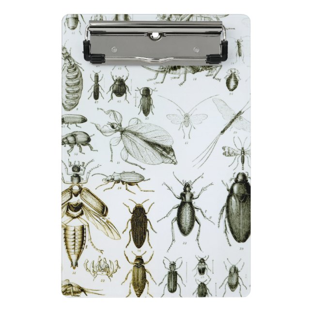 Entomologie-Insekten Mini Klemmbrett (Vorderseite)
