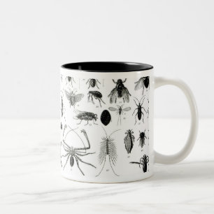 Entomologie, Myriapoda und spinnenartige Tiere Zweifarbige Tasse