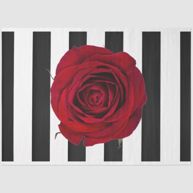 Entpackte Tissue Paper der 3D-Rote Rose Seidenpapier (Vorderseite)