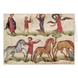 Entraîneurs de cheval