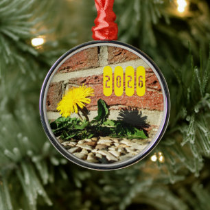 Entschlossener Löwenzahn, Löwenzahn im Gehweg Ornament Aus Metall