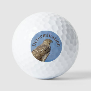 Entschlossenheit Schwerer Hawk Foto Wild Raptor Bi Golfball
