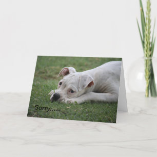 Entschuldige, dass du dich nicht so gut fühlst! karte