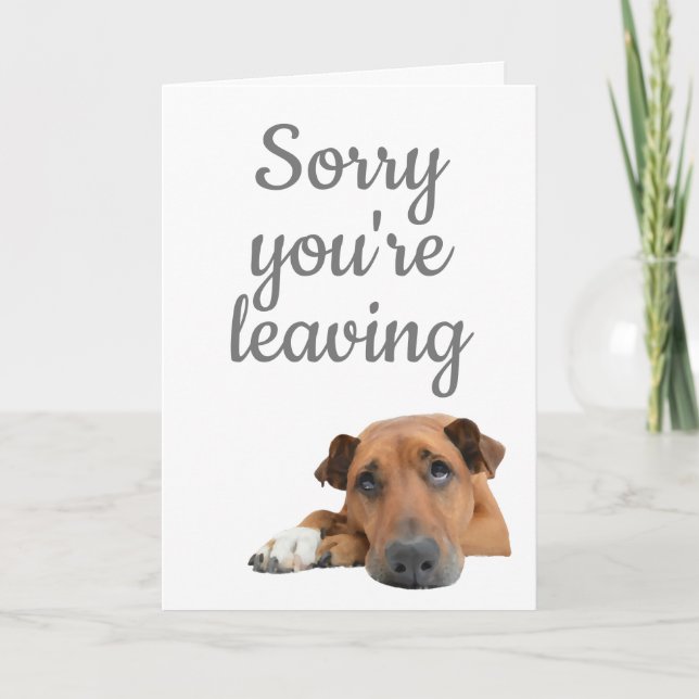 Entschuldige, dass du traurigen Hundeflover verlas Karte (Vorderseite)