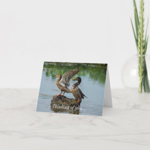 Entschuldige, dass ich an deine Karte denke.