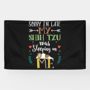 Entschuldige, dass ich zu spät in meinem schicken banner