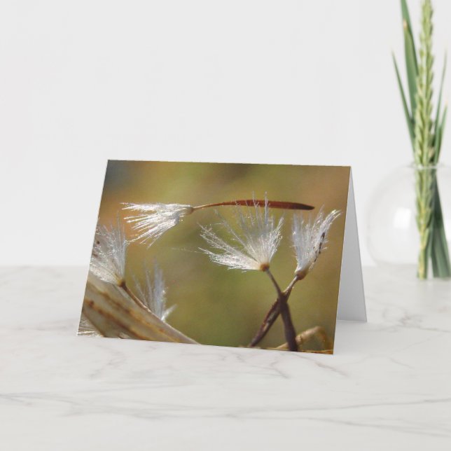 Entschuldigen Sie den Verlust, den der Löwenzahn m Karte (Vorderseite)