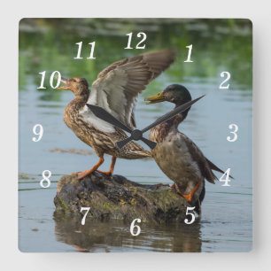 Entschuldigen Sie die Uhr