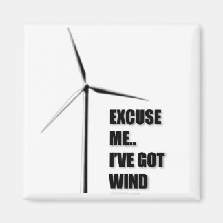 Entschuldigen Sie! Ich habe Wind Got - Magnet