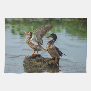 Entschuldigen Sie mich Geschirrtuch