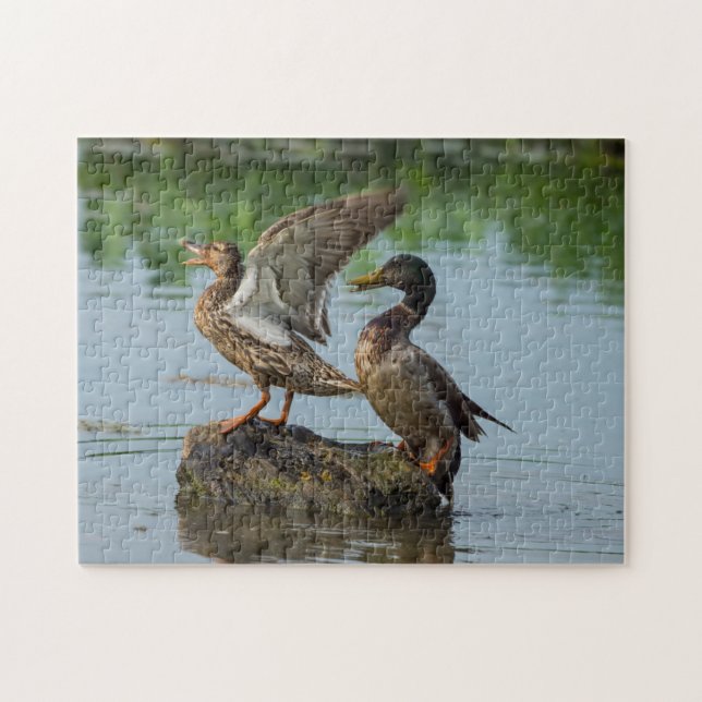 Entschuldigung (Horizontal)