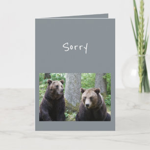 Entschuldigung für das, was du gesagt hast Bär Tie Karte