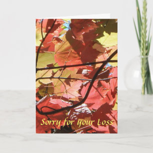 Entschuldigung für Ihre Loss Sympathy Card (von un Karte