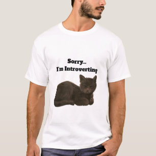Entschuldigung, ich bin introvertierend Lustiges K T-Shirt