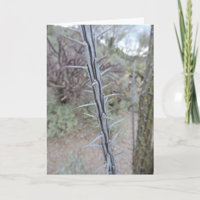 Entschuldigung Karte (Vorderseite)