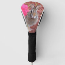 Entschuldigung Me Golf Club Cover