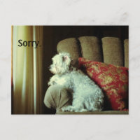 Entschuldigungskarte~wenn "sorry" das alles sagt.