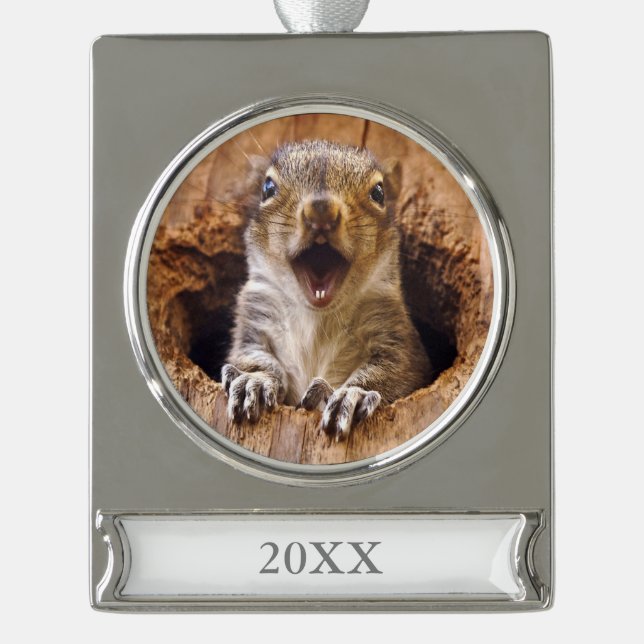 Entsetztes Eichhörnchen Banner-Ornament Silber (Vorderseite)