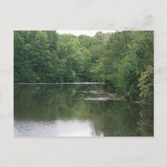 Entspannen Postkarte (Vorderseite)