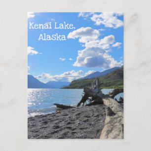 Entspannen Sie am Driftwood Beach Log Kenai Lake,  Postkarte