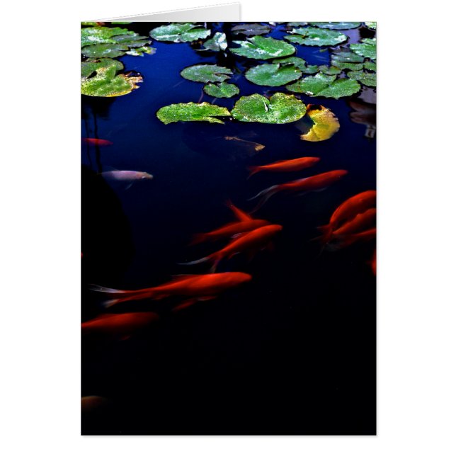 Entspannen Sie sich (Vorne)