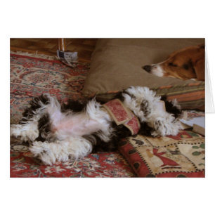 ENTSPANNEN Sie sich!