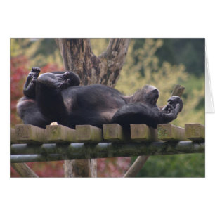 Entspannen Sie sich!