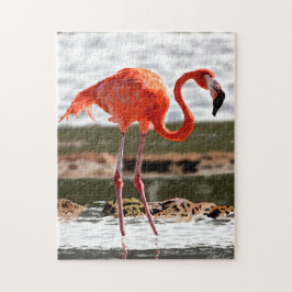 Entspannende Flamingo