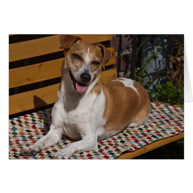Entspannende Grußkarte für Hunde (Vorderseite (Horizontal))
