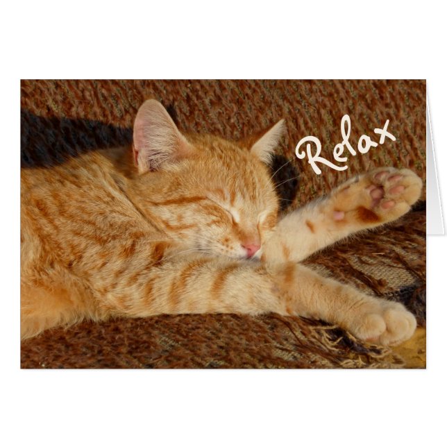 Entspannende Katze (Vorderseite (Horizontal))