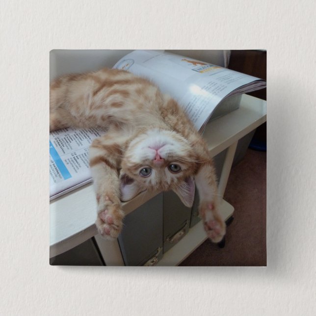 Entspannende Miezekatze Button (Vorderseite)