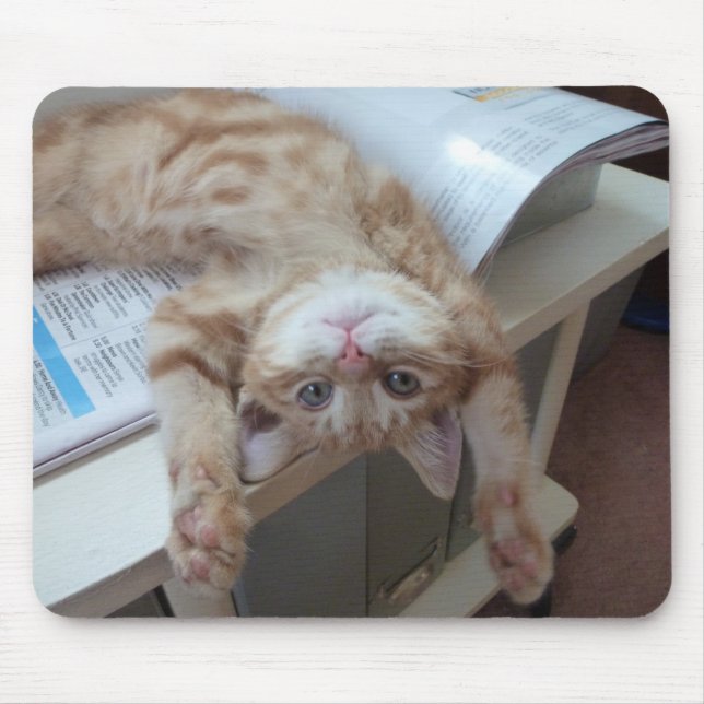 Entspannende Miezekatze Mousepad (Vorne)