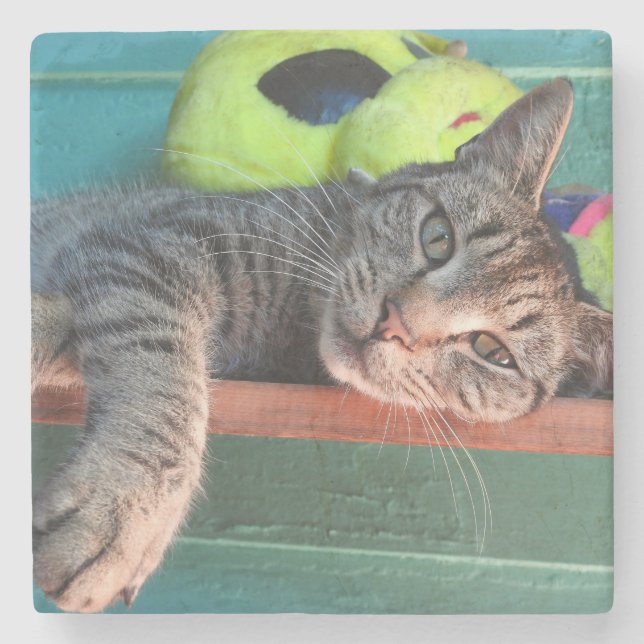 Entspannende Tiger Cat Liebe Steinuntersetzer (Vorderseite)