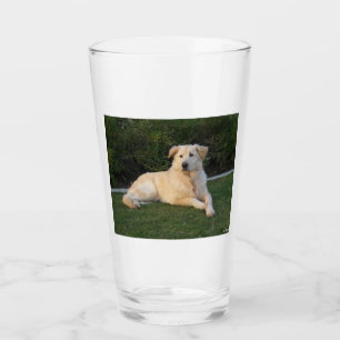 Entspannender Hund Glas