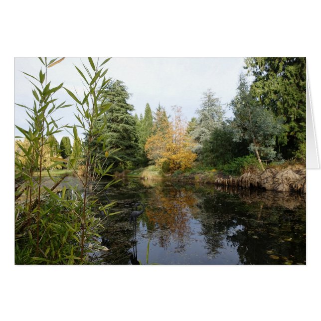 Entspannendes Gartenbild, schöne Bäume... (Vorderseite (Horizontal))