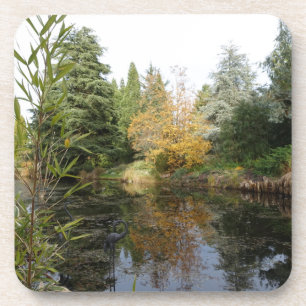 Entspannendes Gartenszene-Bild, schöne Bäume... Untersetzer