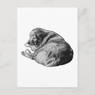 Entspannendes Punkt Hund liefert sanfte saisonale Postkarte